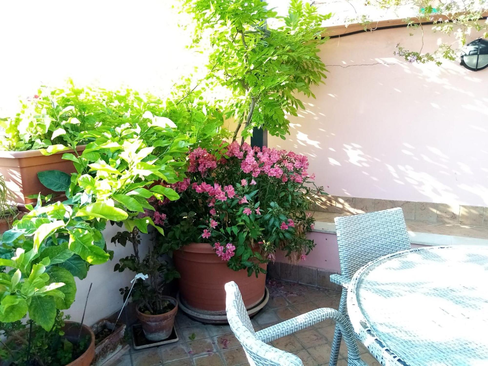 Il Nido Della Quaglia B&B - Jaba Mia House Lt Pozzuoli Eksteriør bilde
