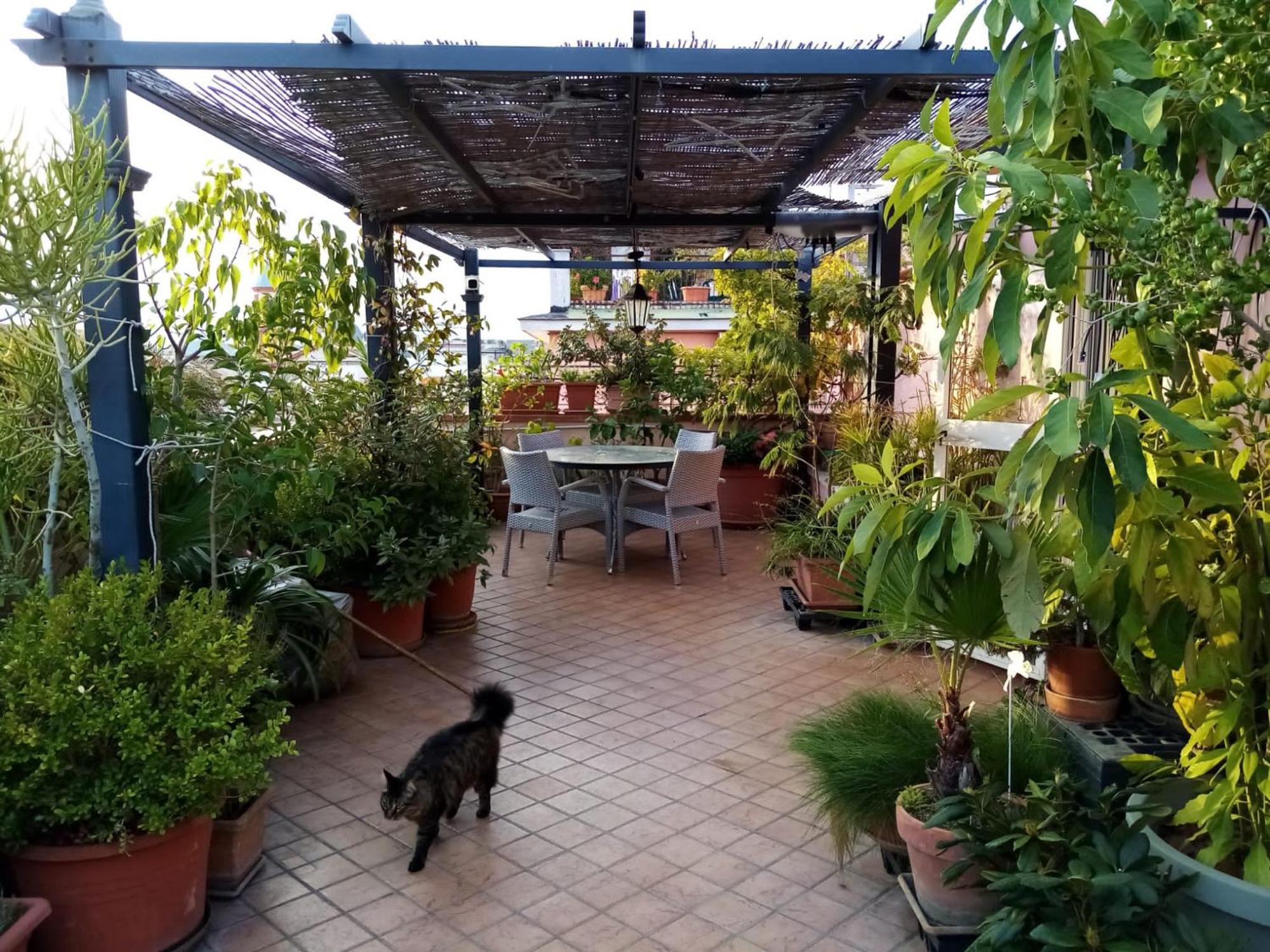 Il Nido Della Quaglia B&B - Jaba Mia House Lt Pozzuoli Eksteriør bilde